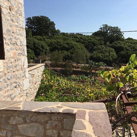 Villa Peace In The Wildest Landscape Of Mani Láyia Exterior foto