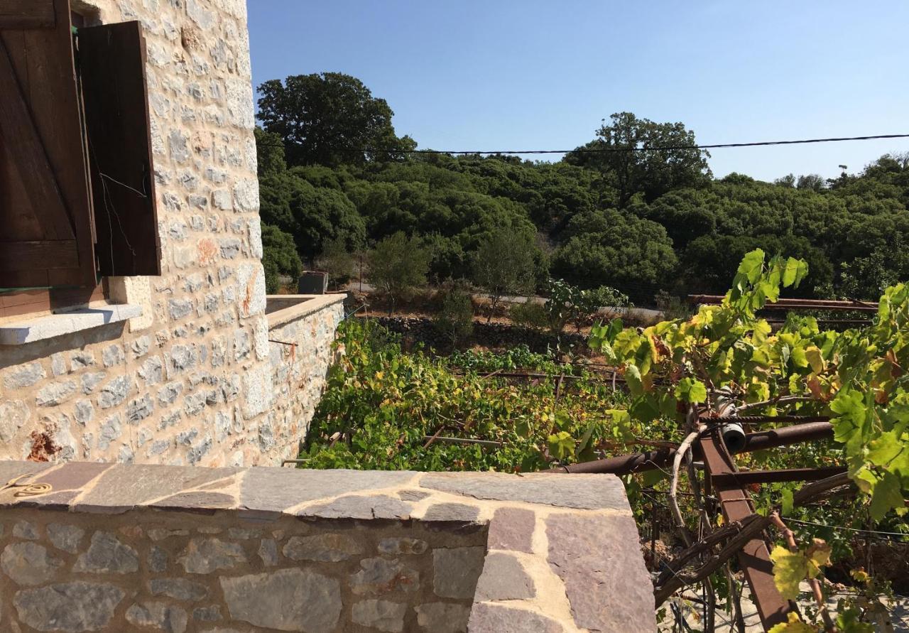 Villa Peace In The Wildest Landscape Of Mani Láyia Exterior foto